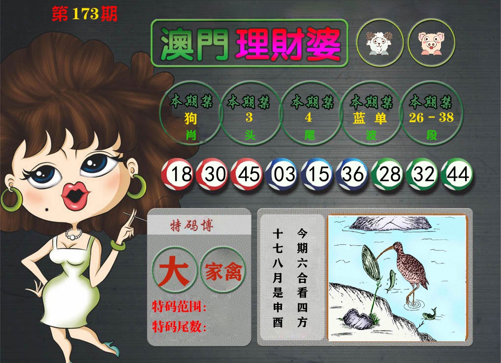 理财婆 第173期