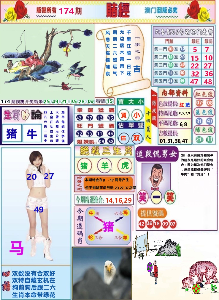 澳门赌经 第174期