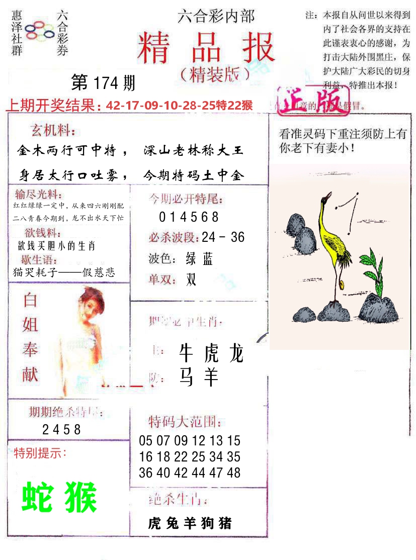 精品报 第174期