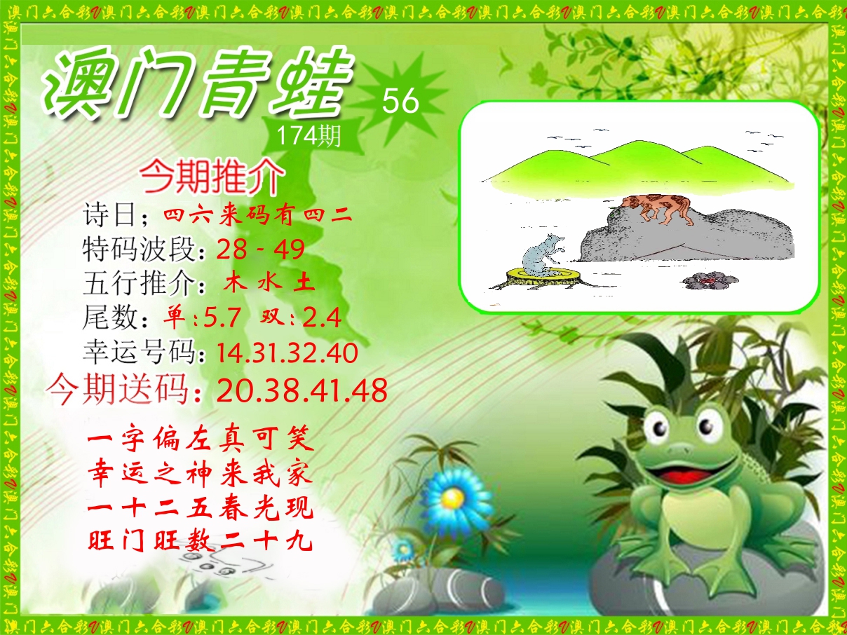 青蛙系列56 第174期