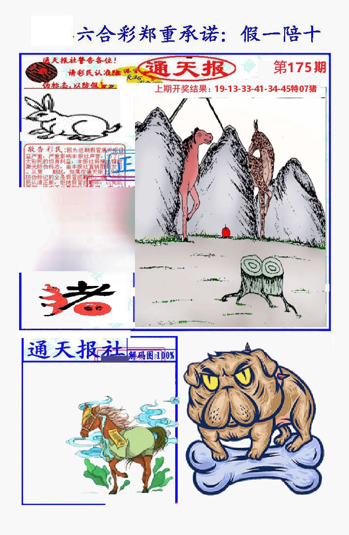 通天报 第175期