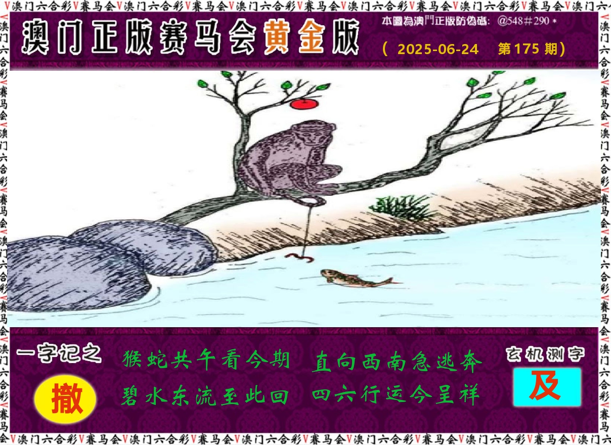 赛马会黄金版 第175期