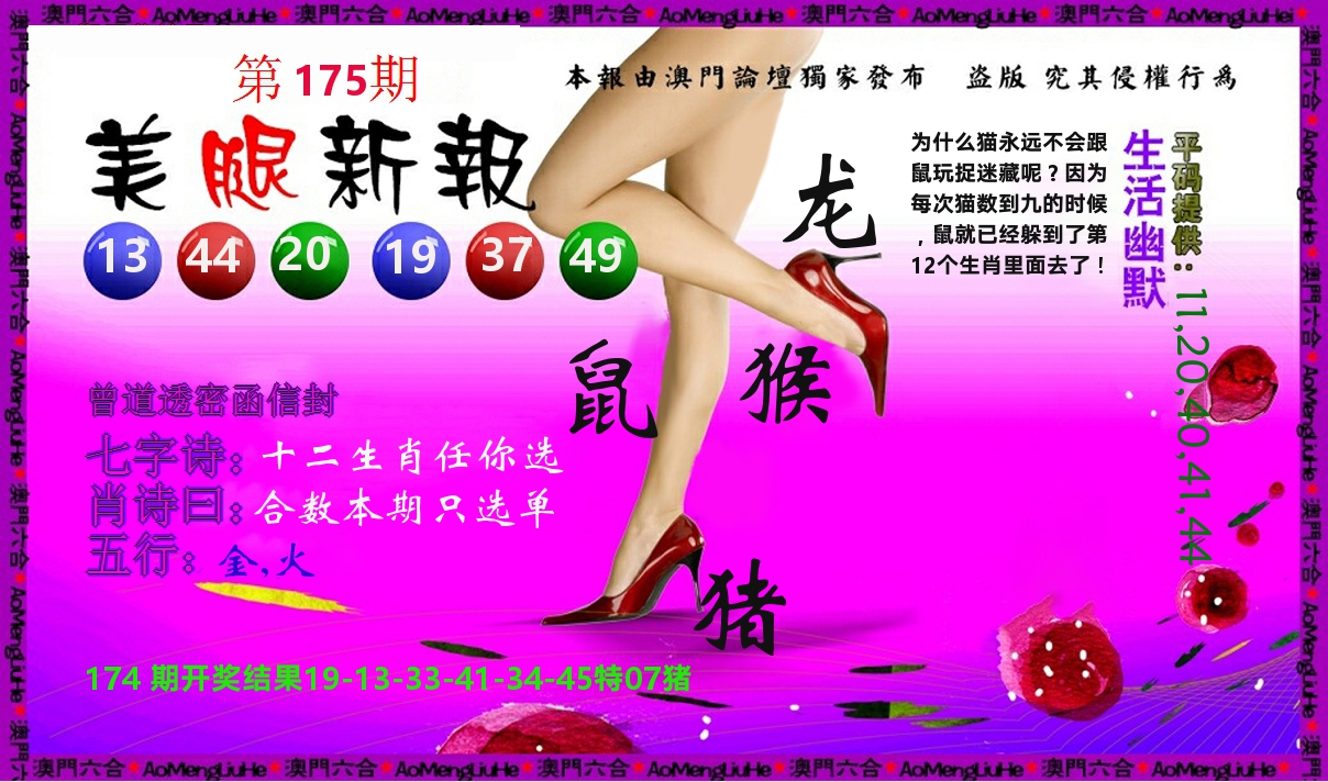 美腿新报 第175期