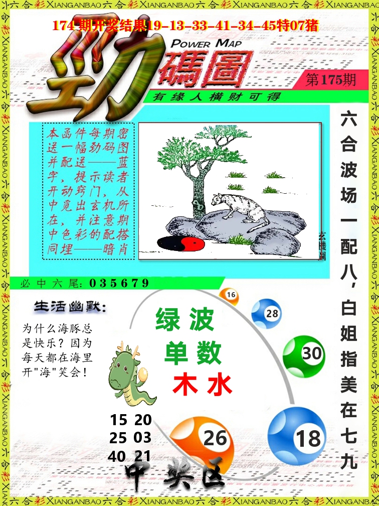 劲码图 第175期