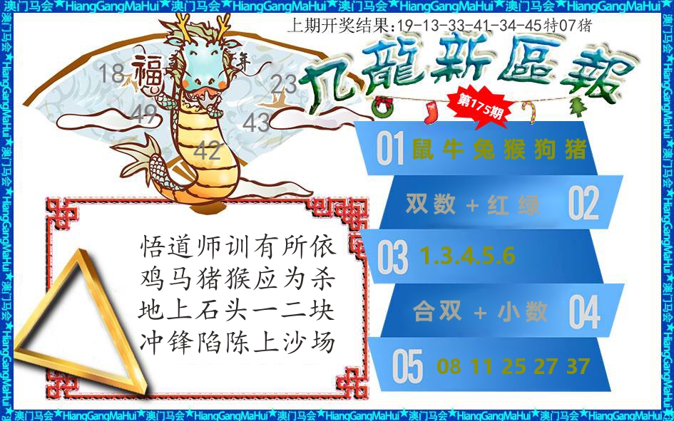 澳门新区报 第175期