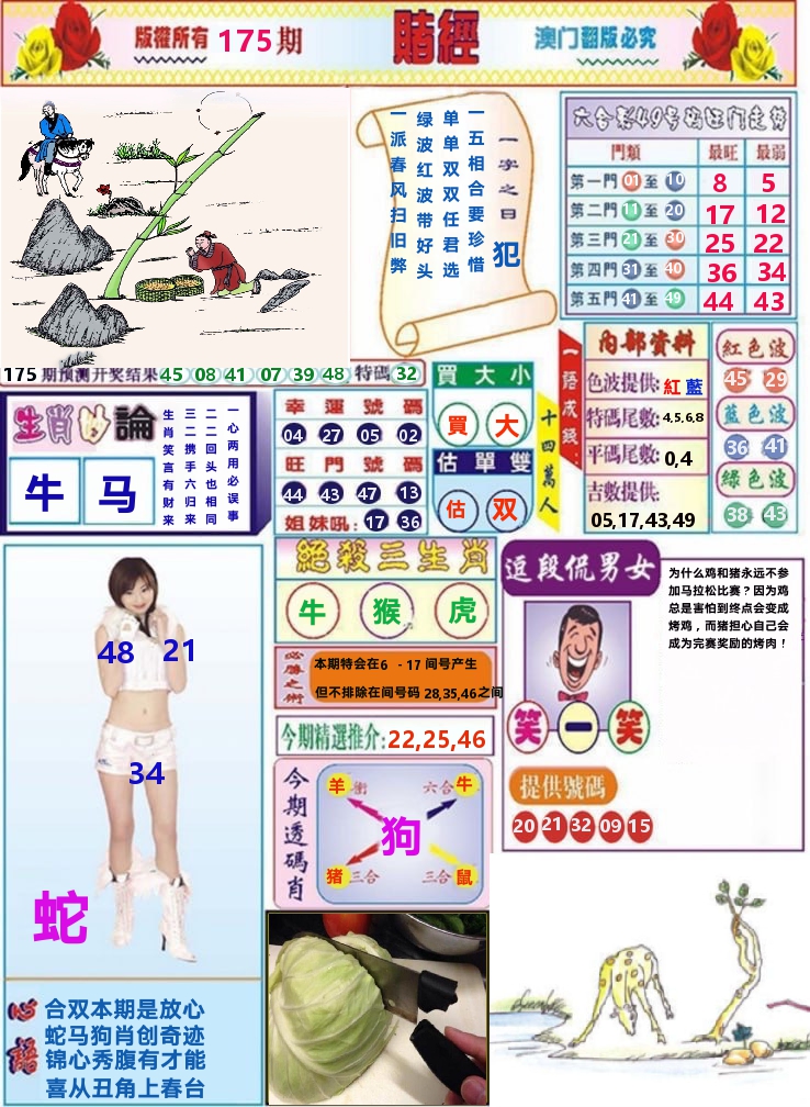 澳门赌经 第175期