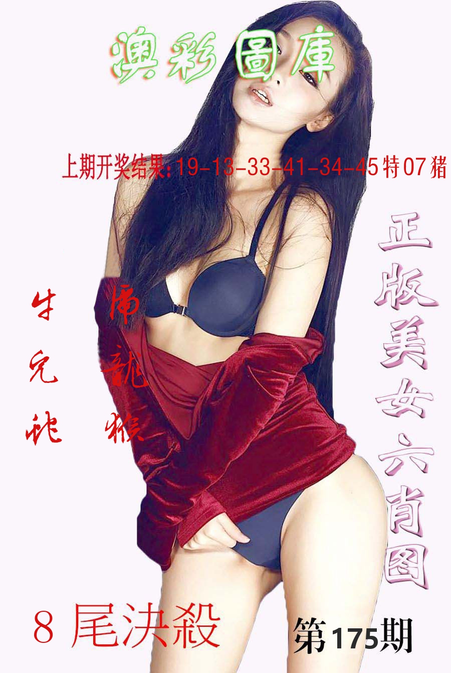 澳门图库 第175期