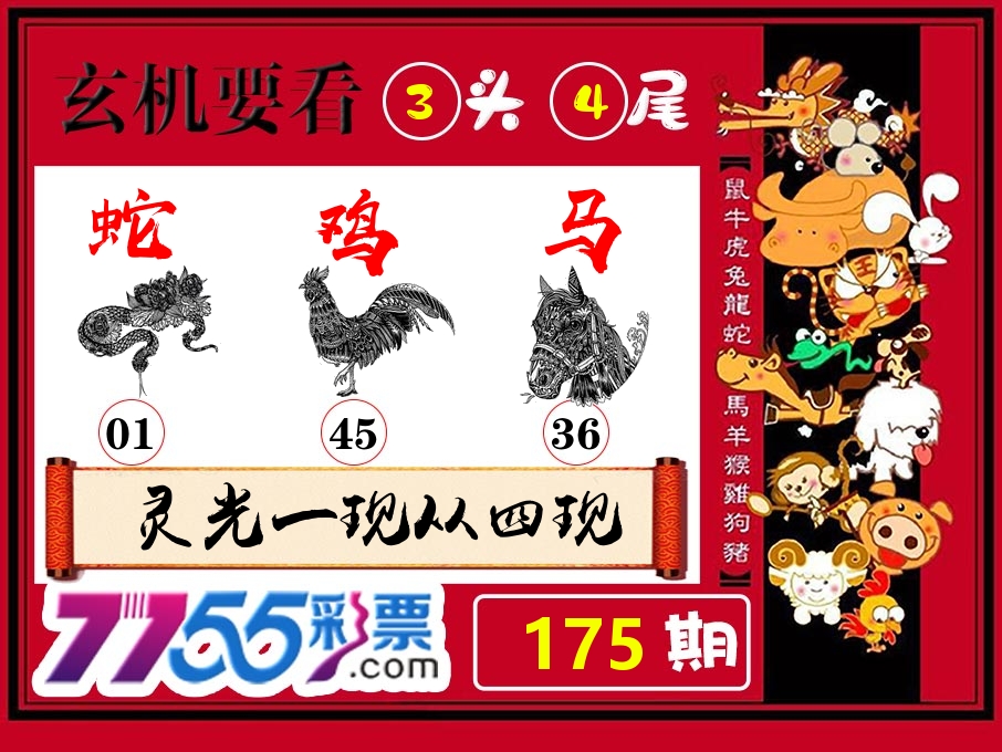 玄机要看 第175期
