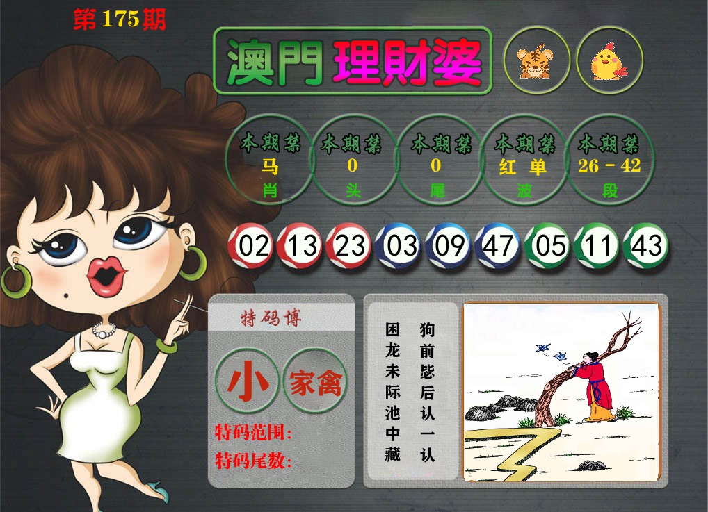 理财婆 第175期