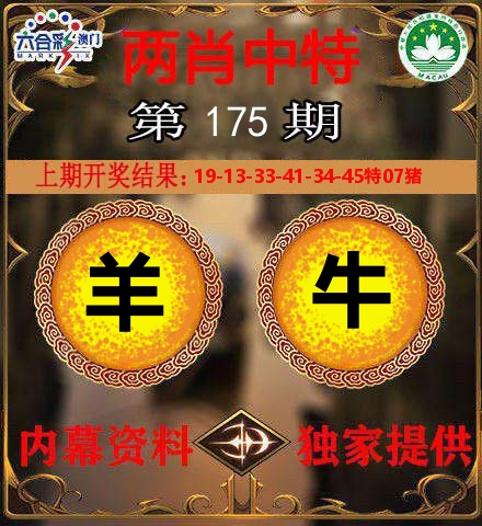 两肖中特 第175期
