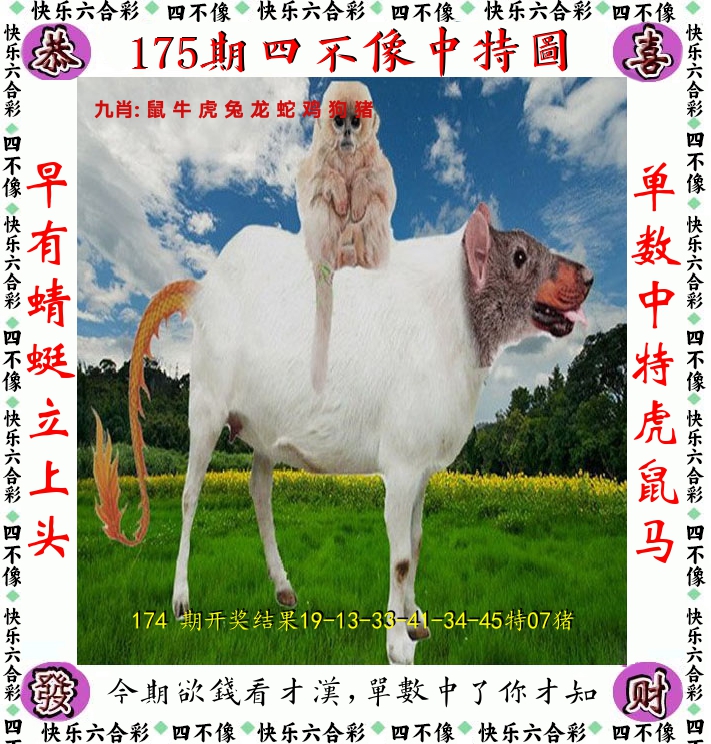 四不像 第175期