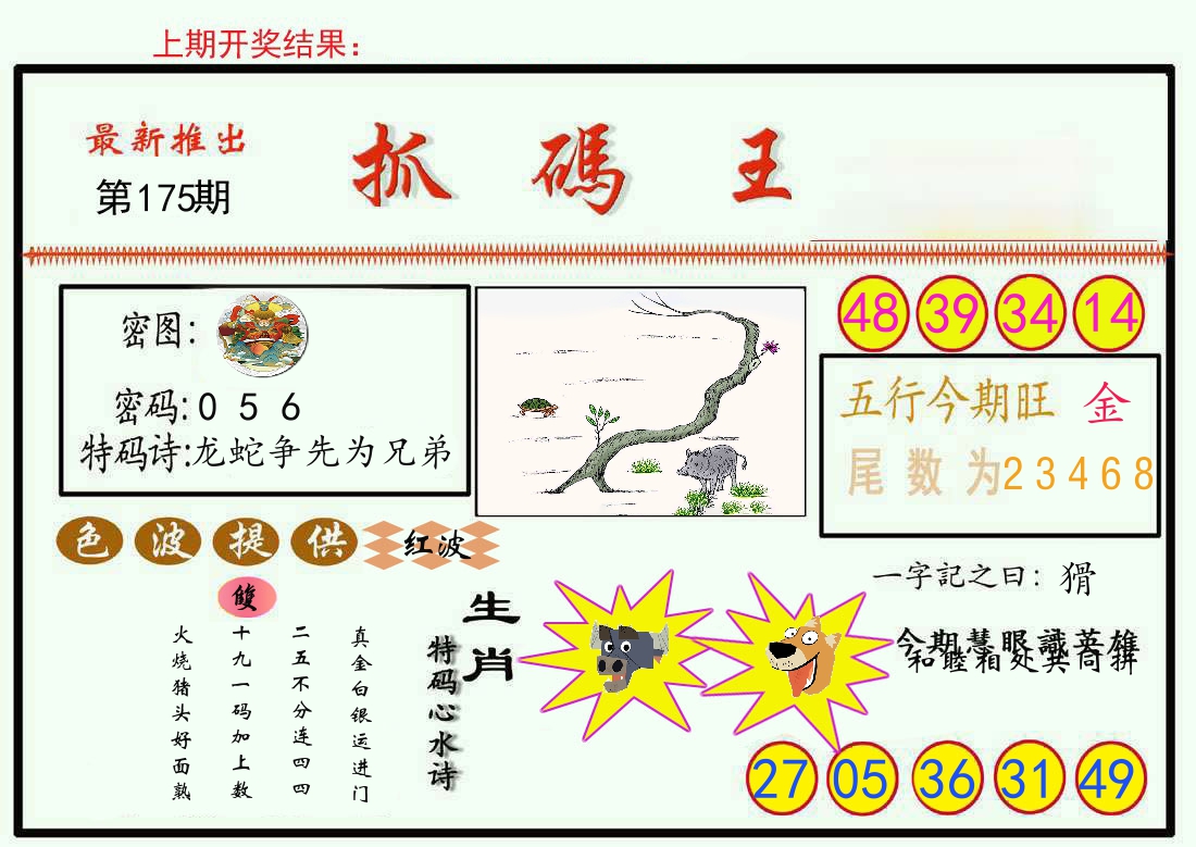 最新抓码王 第175期