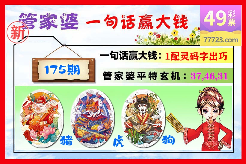 管家婆 第175期