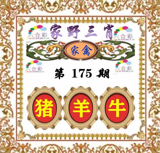 家野三肖 第175期