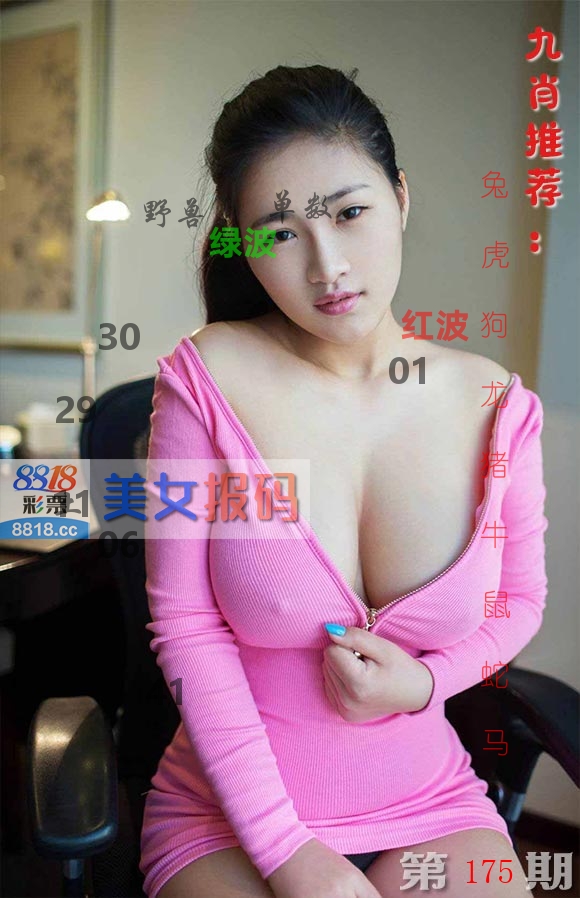 美女报码 第175期