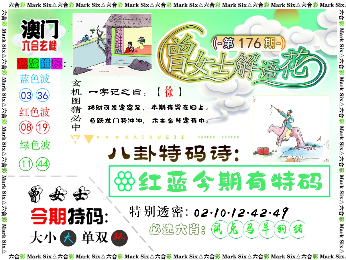 曾女士解语花 第176期