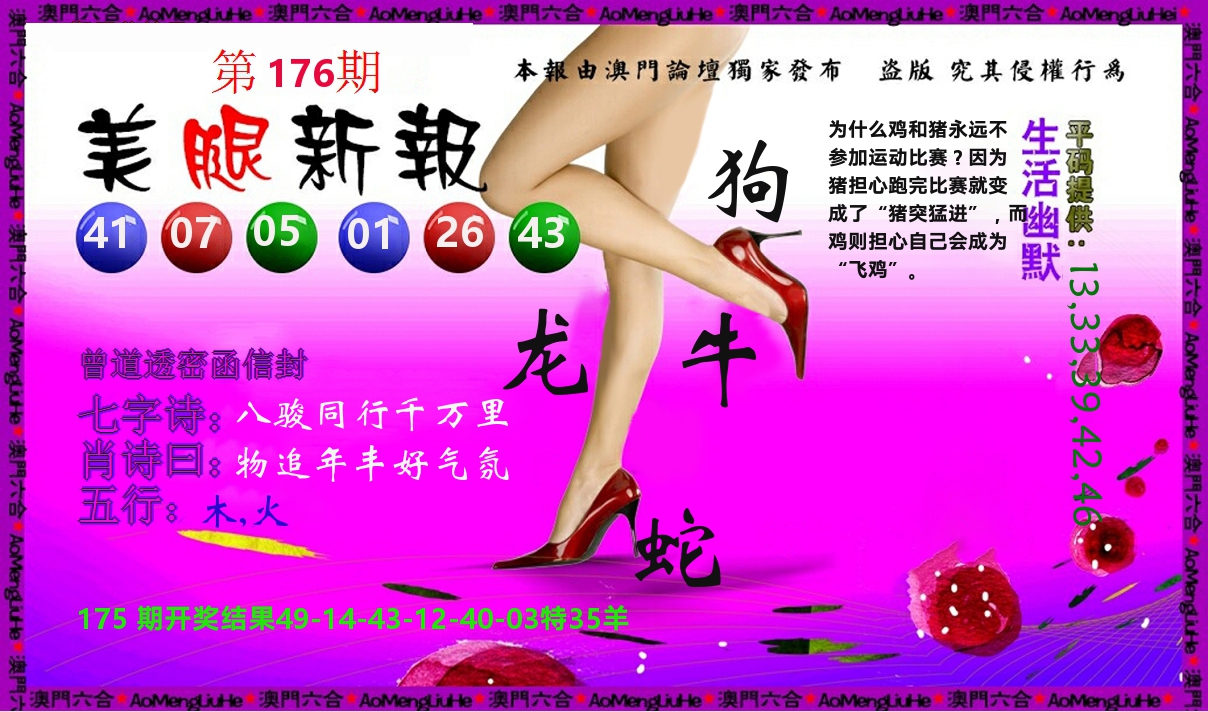美腿新报 第176期