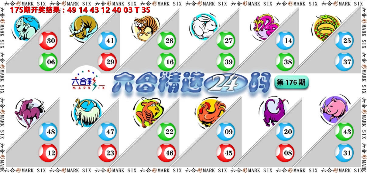 六合精选24码 第176期