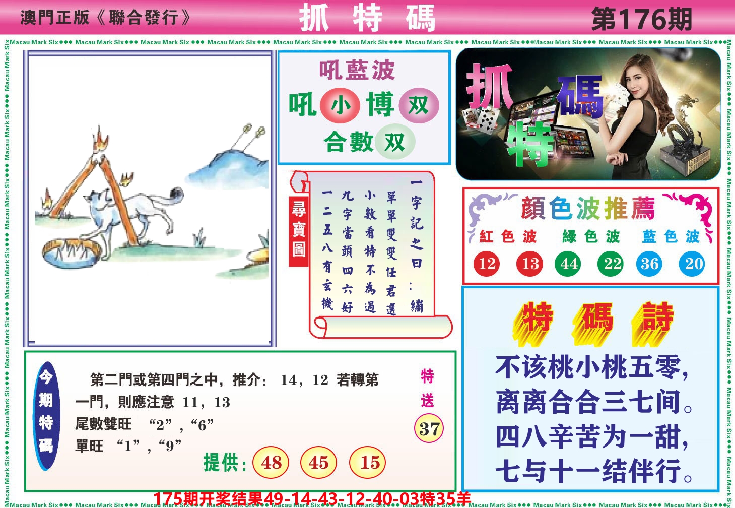 澳门抓特码A 第176期