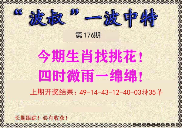 波叔中特 第176期