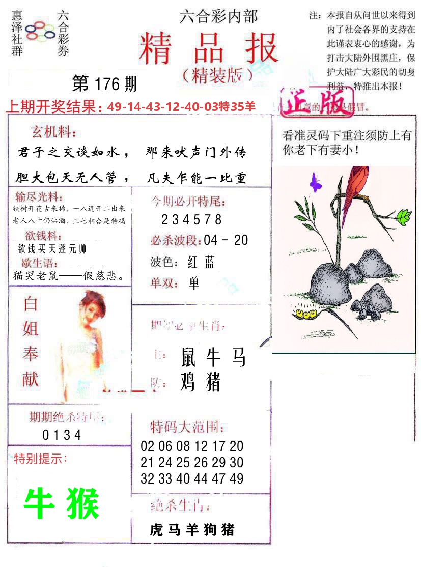 精品报 第176期