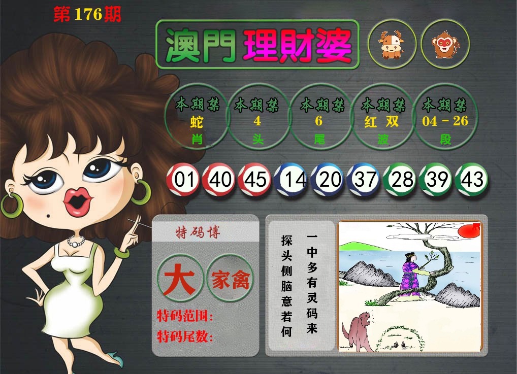 理财婆 第176期