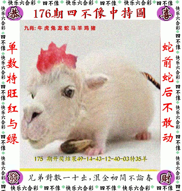 四不像 第176期