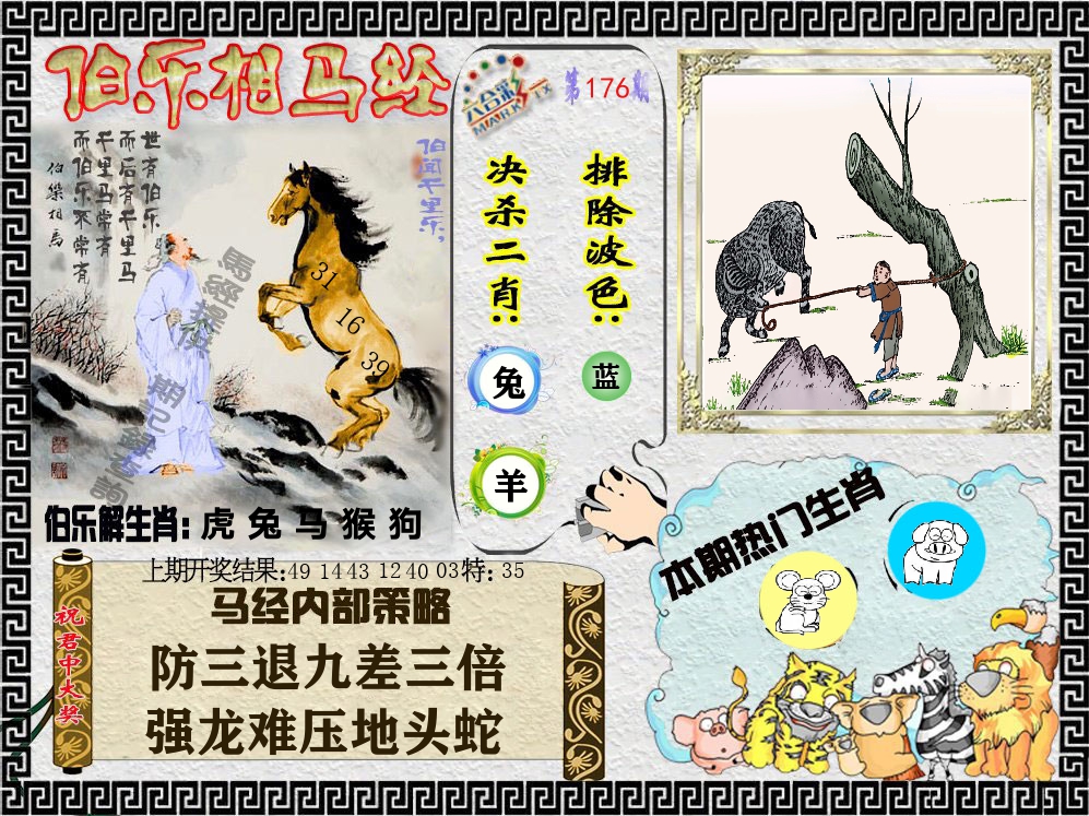 伯乐相马经 第176期