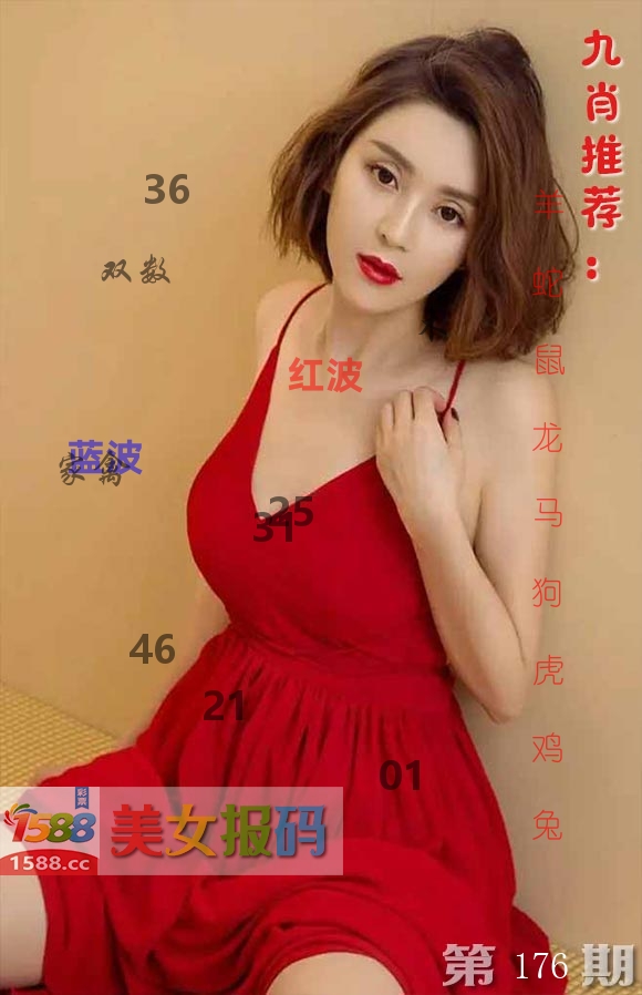 美女报码 第176期