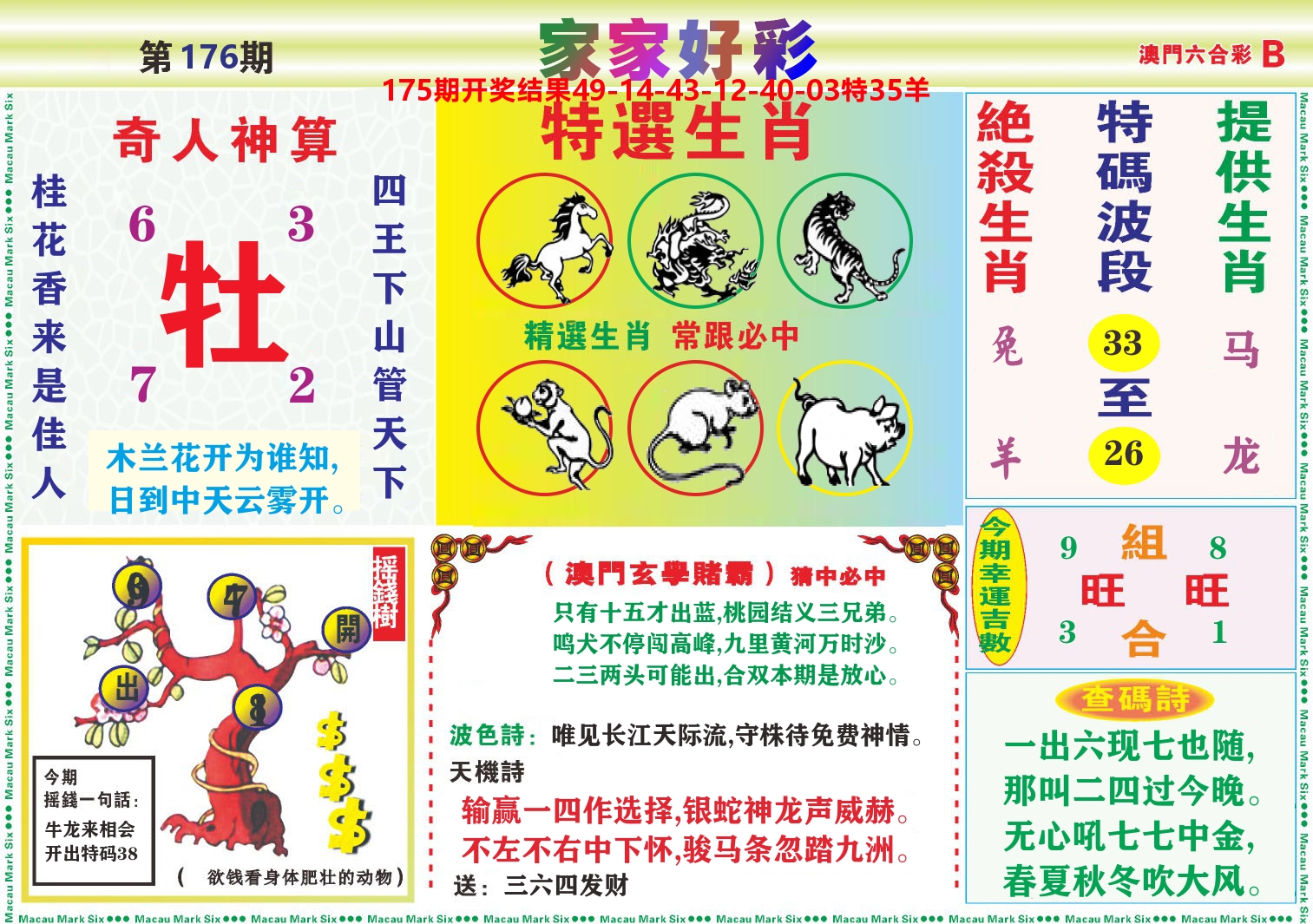 家家好彩B 第176期