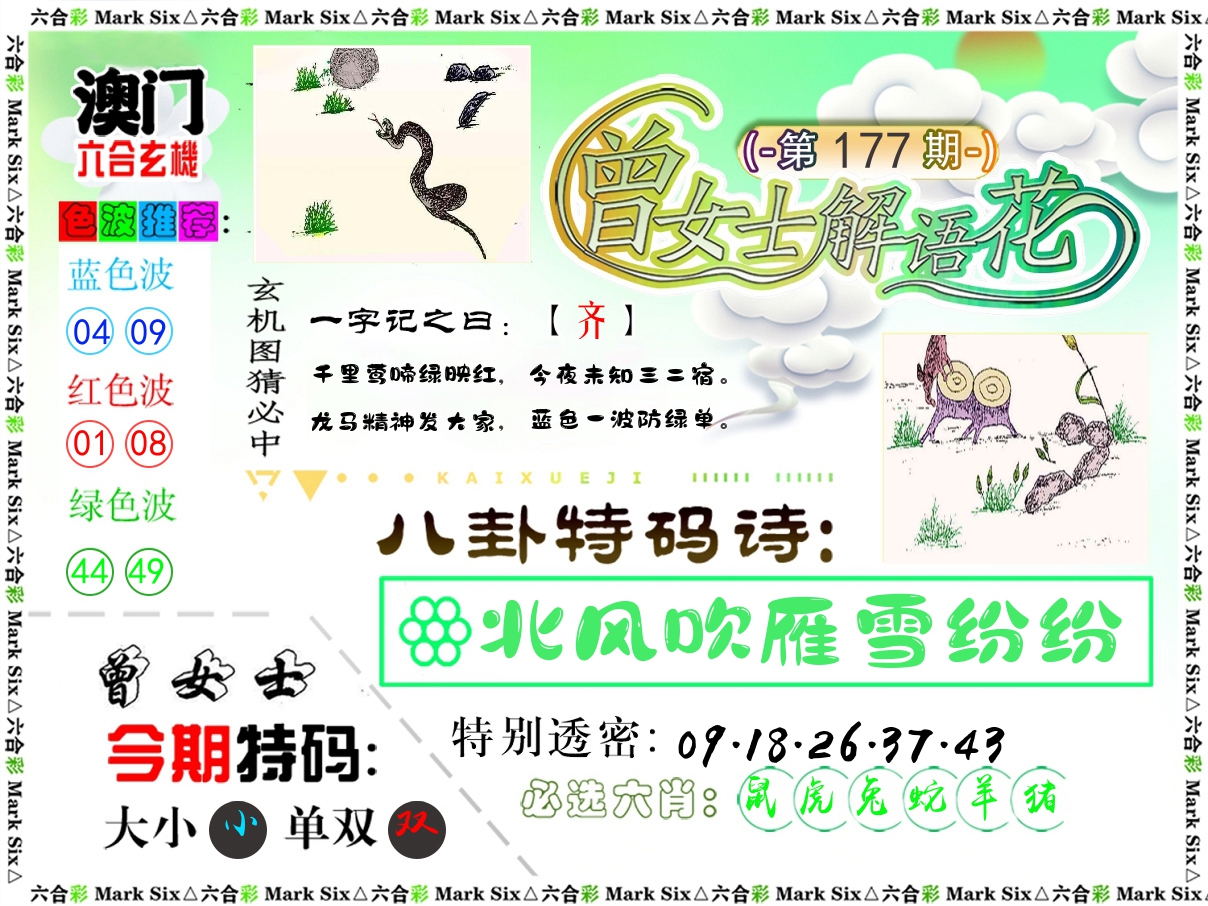 曾女士解语花 第177期