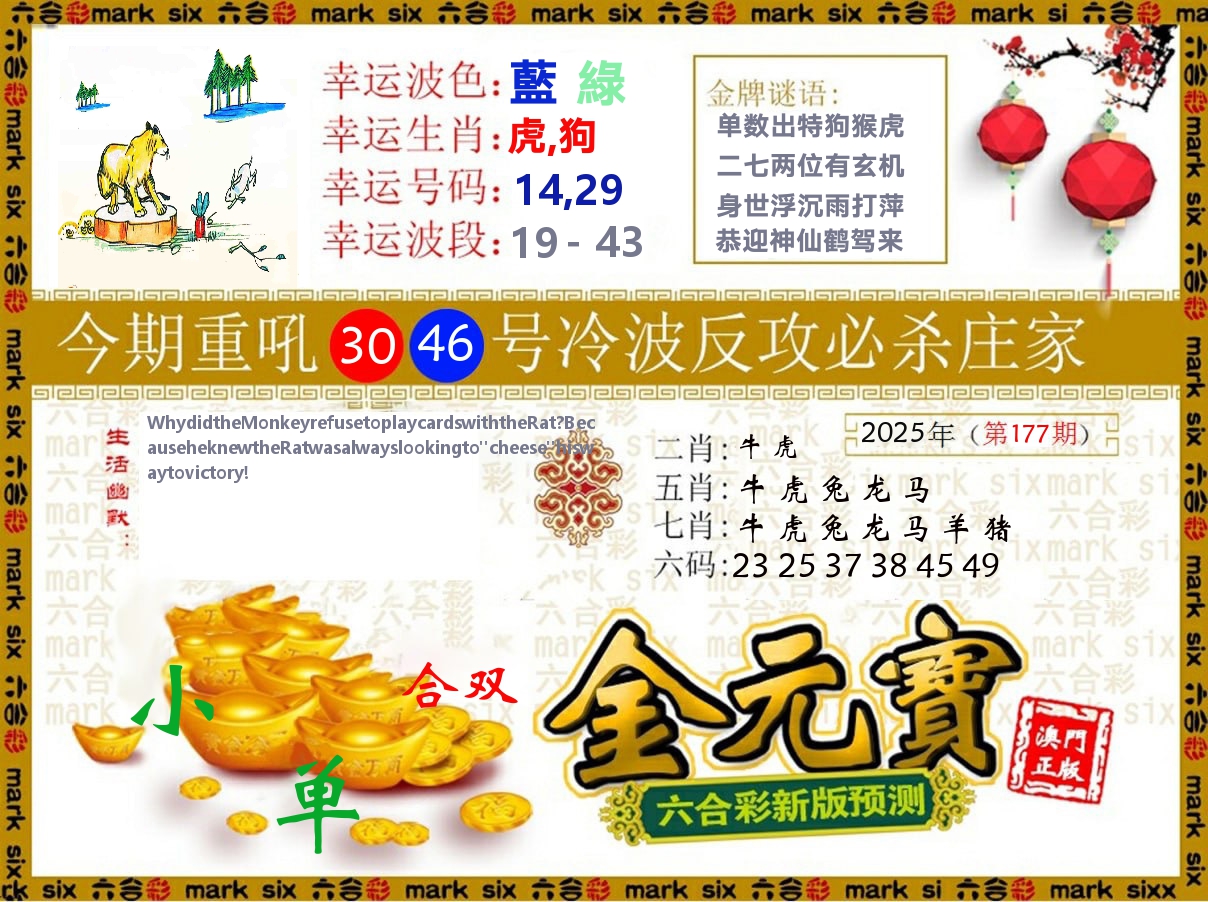 金元宝 第177期