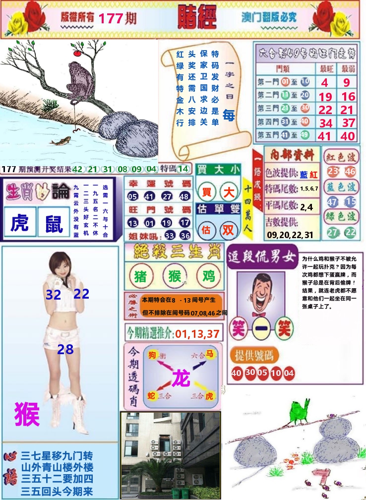 澳门赌经 第177期