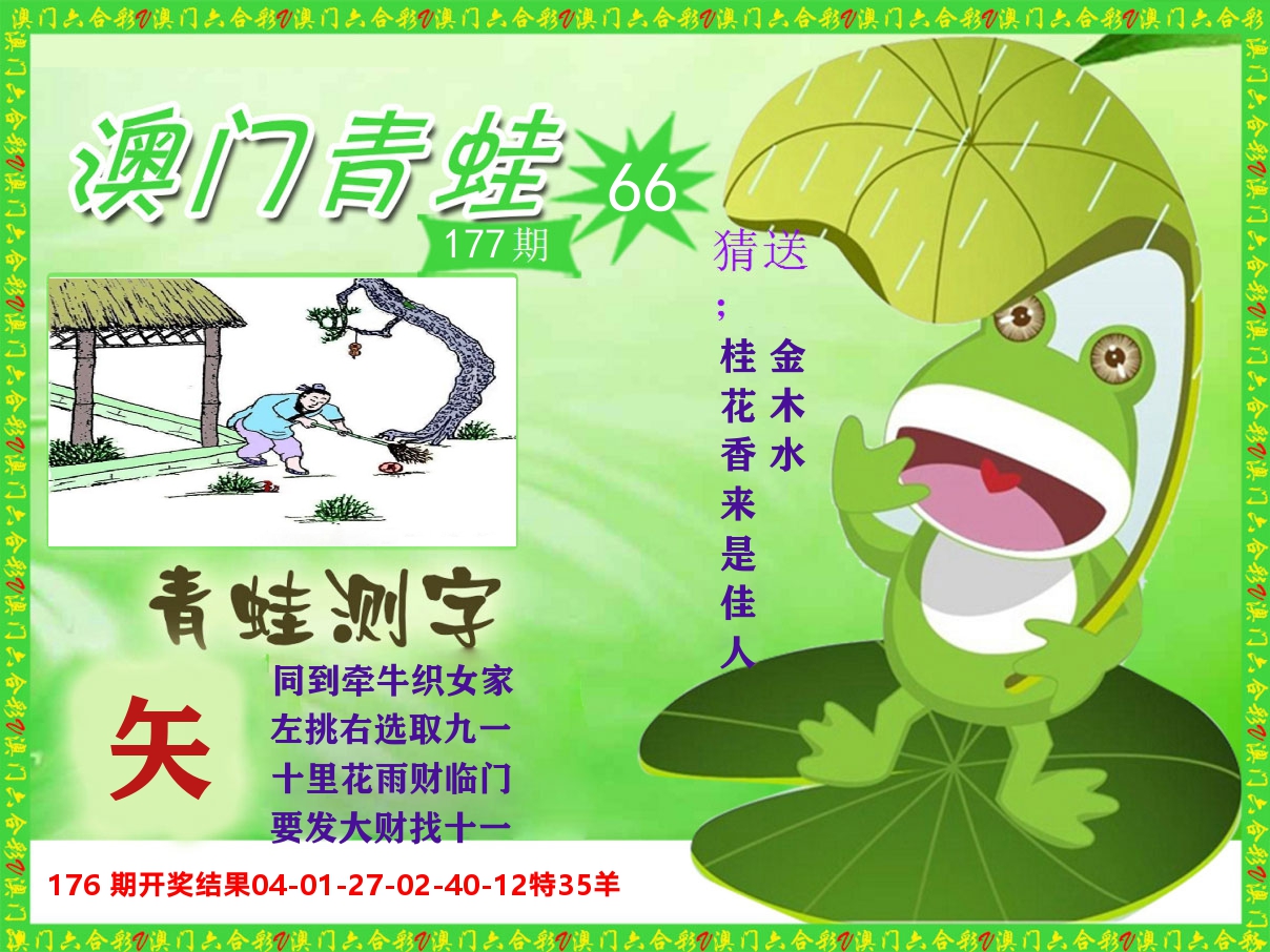 青蛙系列66 第177期