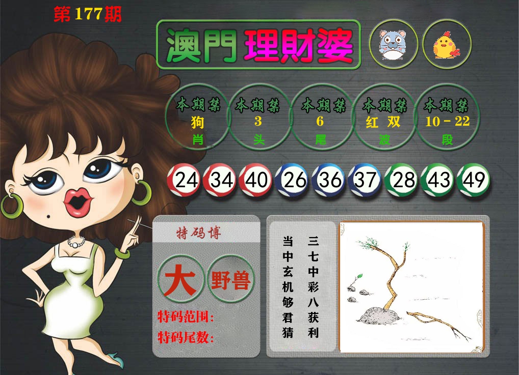 理财婆 第177期