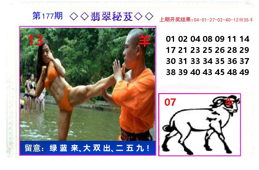 翡翠秘芨 第177期