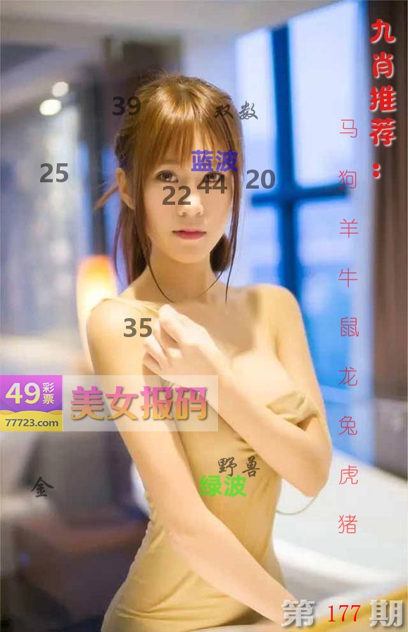 美女报码 第177期
