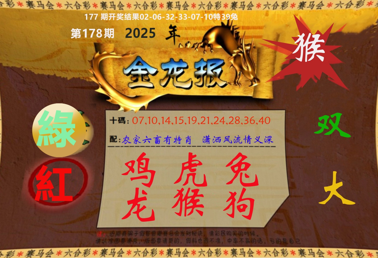 金龙报 第178期