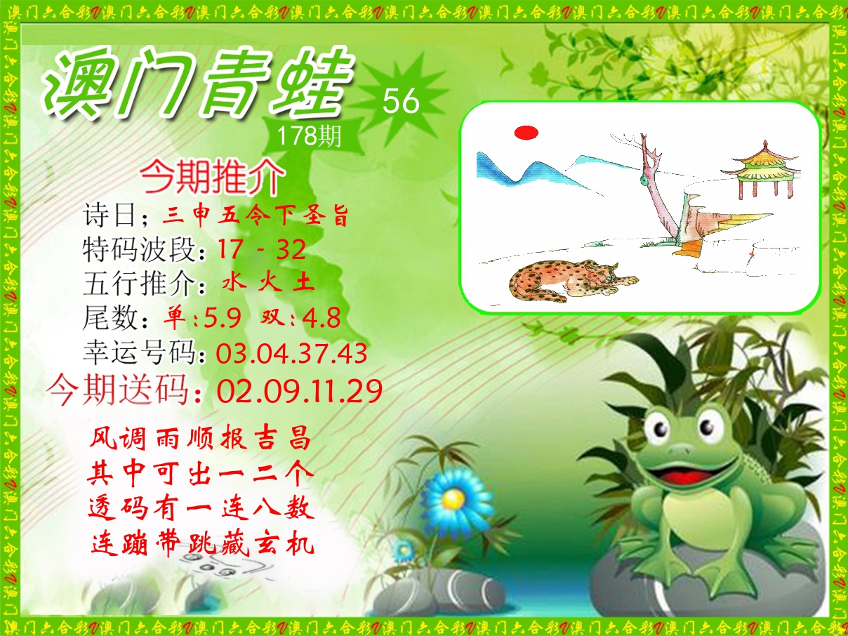青蛙系列56 第178期