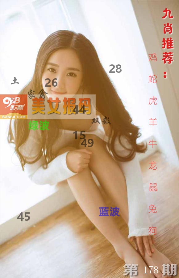 美女报码 第178期