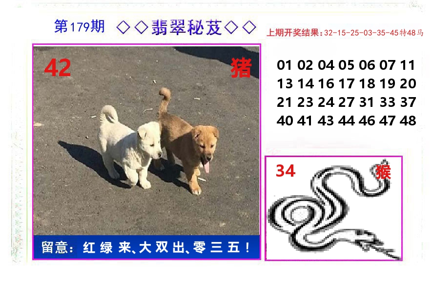 翡翠秘芨 第179期
