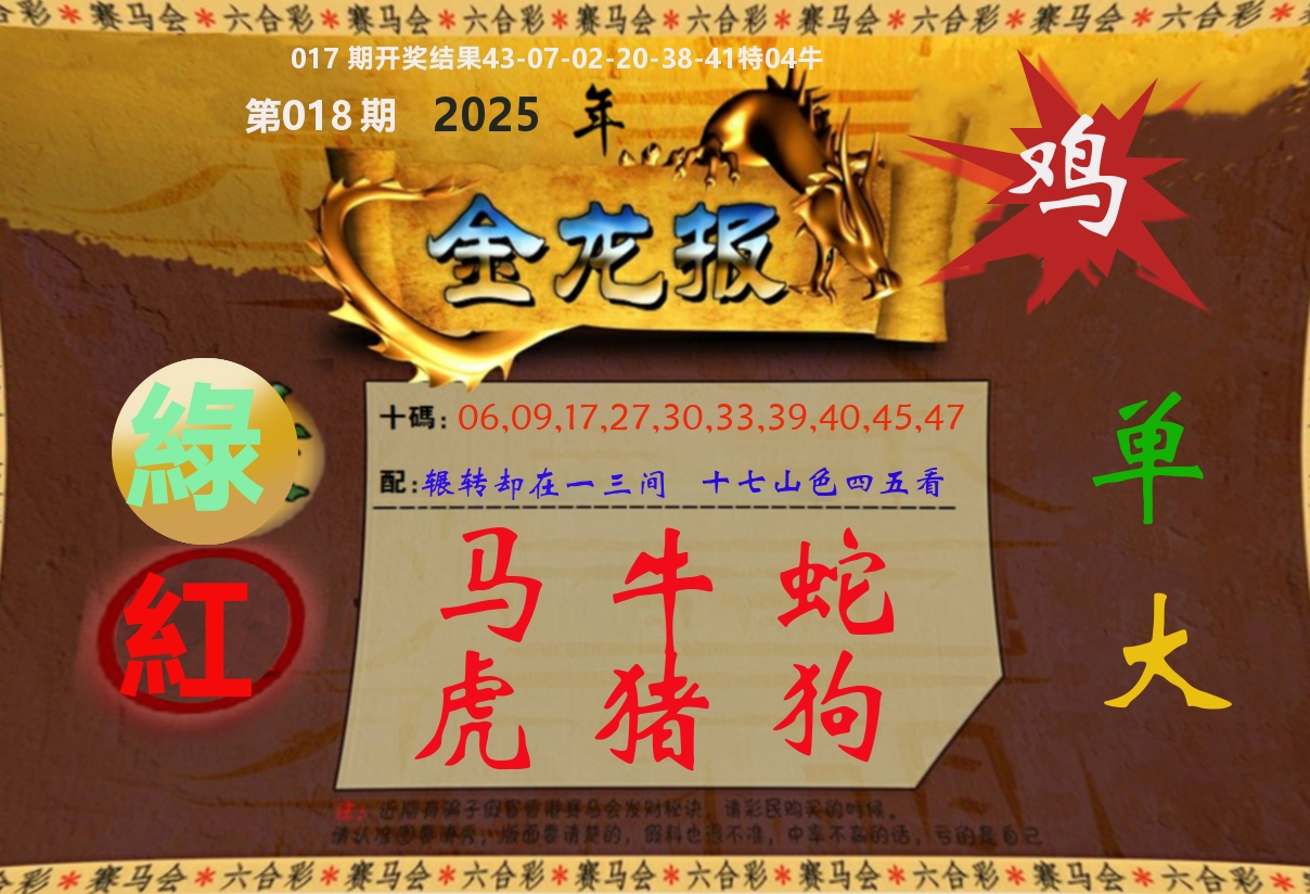 金龙报 第18期