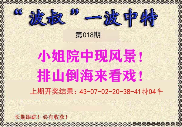 波叔中特 第18期