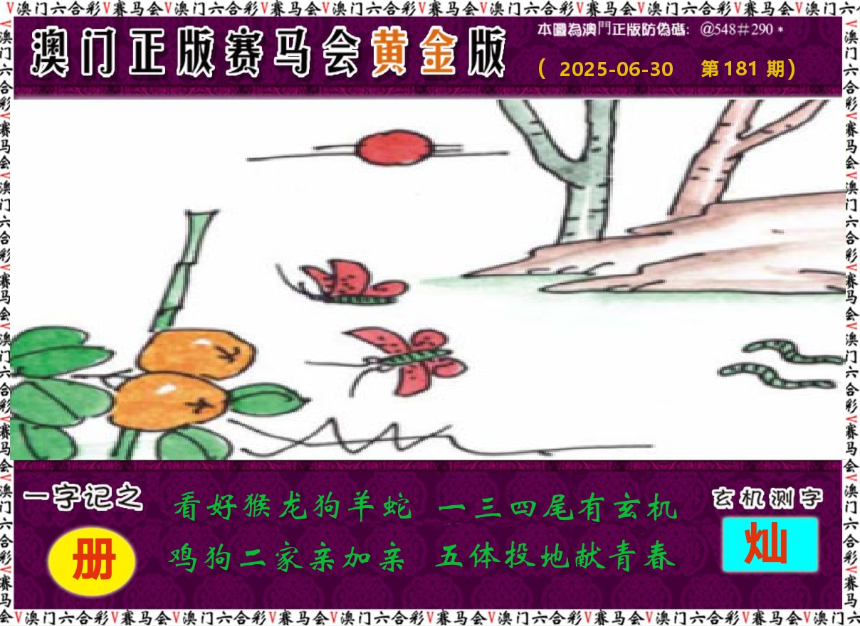 赛马会黄金版 第181期