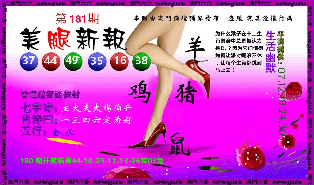 美腿新报 第181期