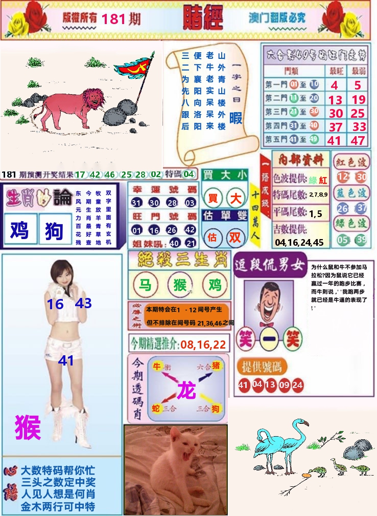 澳门赌经 第181期