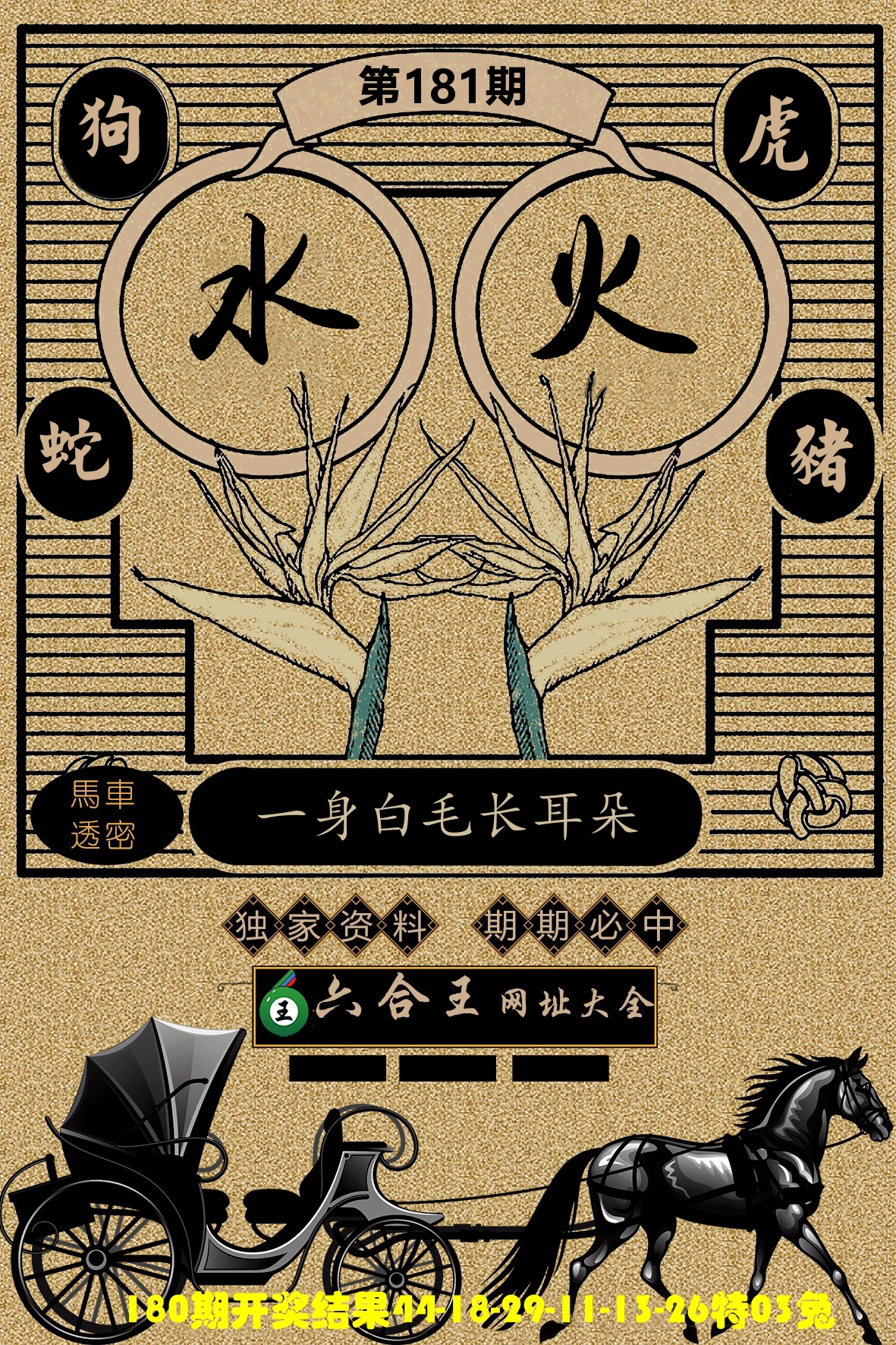 六合王马车透密 第181期