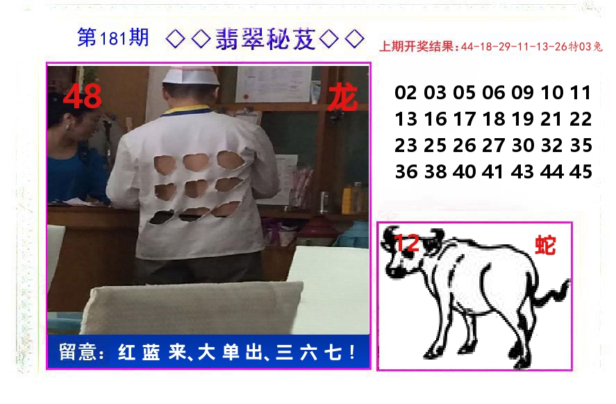 翡翠秘芨 第181期