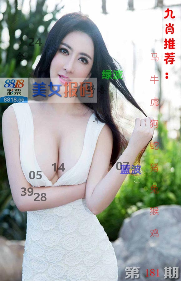 美女报码 第181期