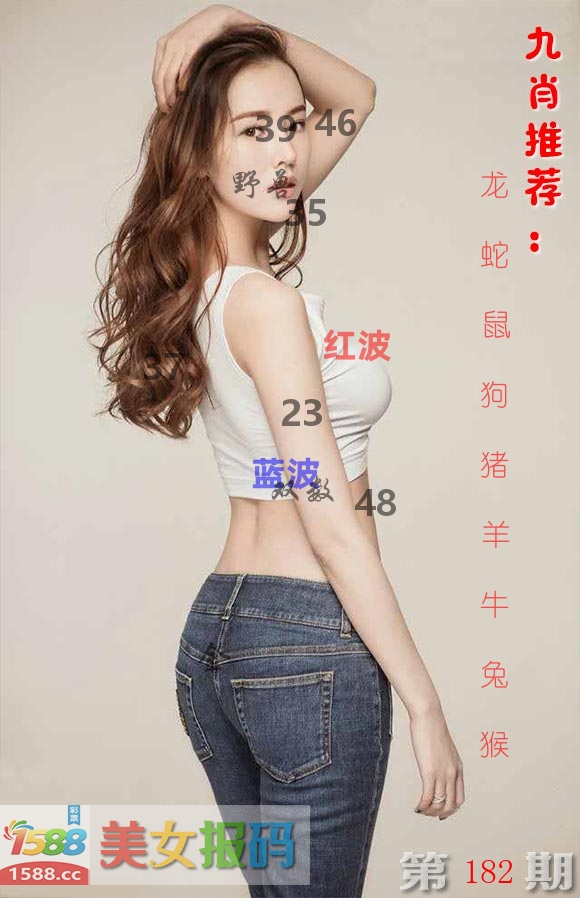 美女报码 第182期